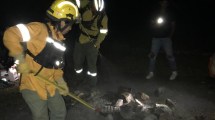 Imagen de Iniciaron fogón en un sitio no habilitado del parque nacional Lanín: eran vecinos de San Martín de los Andes