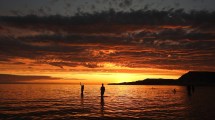 Imagen de Puerto Pirámides, la joya de la Patagonia de los atardeceres increíbles y todas estas maravillas