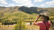 Imagen de Sierra de la Ventana: los 23 km escondidos de la ruta escénica más linda