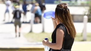 Olas de calor extremo para este verano 2025 en Neuquén y Río Negro: ¿qué anticipan los expertos?
