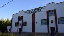 Imagen de Antigua Bodega Patagónica: pasado y presente de un establecimiento emblema de la vitivinicultura de Río Negro