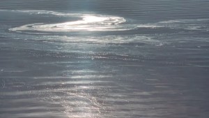 El DPA pidió extender el plazo para responder sobre la calidad del agua del Nahuel Huapi