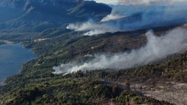 Incendio en parque Los Alerces: la millonaria recompensa que ofrecen para dar con los autores