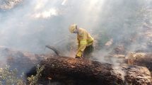 Imagen de Ratifican que el incendio en el parque Los Alerces está «controlado»: «Esta situación es irreversible»