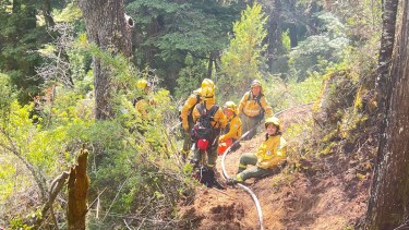 Casi 600 hectáreas consumió el fuego en el parque Nahuel Huapi. (Gentileza prensa Parques Nacionales) 