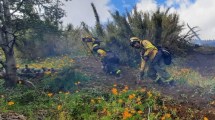 Imagen de Incendio en Parque Nacional Lanín, trabajan en 6 áreas con ascenso de temperatura y viento leve