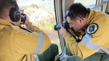Imagen de Parque Nacional Los Alerces: llegaron peritos para determinar las causas del incendio