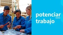 Imagen de Alertan por cambios en Potenciar Trabajo: Cuánto y cuándo cobro en febrero 2024