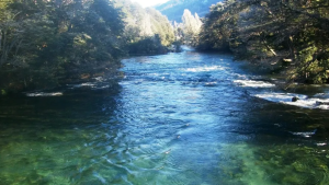 Se tiró al río en Bariloche y se hundió en un remolino por dos minutos: está grave