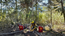 Imagen de Video | Incendio en el parque Lanín: cómo sigue el trabajo de los brigadistas y qué pasará con el frío que se viene