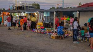 San Patricio del Chañar palpita la Fiesta del Pelón, mirá la grilla de artistas