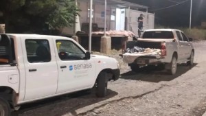 Decomisan 600 kilos de carne con hueso que iban desde La Pampa a la zona petrolera de Neuquén