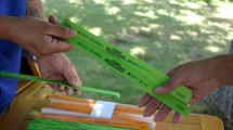 Imagen de Video | Fiesta de la Confluencia 2024 en Neuquén: hasta el viernes se podrá retirar las pulseras de entrada para la zona gratuita