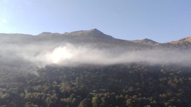 El fuego no cesa en la zona cordillera de Neuquén y Río Negro. Foto: parque nacional Lanín. 