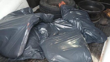 La carne era transportada en la caja de la camioneta que fue secuestrada por falta de documentación. 