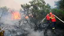 Imagen de «Ponen el cuerpo, van al frente, te emocionan»: bomberos y brigadistas, nuestros héroes en el incendio de Los Alerces