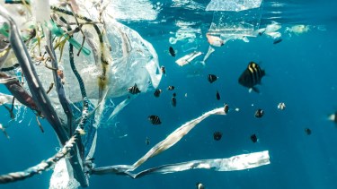 Los microplásticos son partículas de plástico menores a 5 milímetros y hasta tamaños tan pequeños que son imperceptibles. Son producto de la degradación de los residuos plásticos