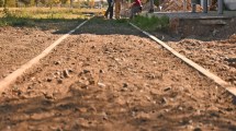 Imagen de Encontraron un hombre muerto en las vías del ferrocarril de Cipolletti: cuál es la principal hipótesis