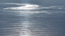 Imagen de Alerta en Bariloche por la contaminación con líquidos cloacales en el lago Nahuel Huapi