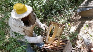 Hidratación. Una de las claves para quienes manipulan colmenas en un ambiente de altas temperaturas. 