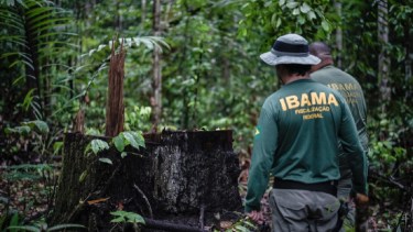 Agentes medioambientales brasileños identifican zonas deforestadas en el territorio indígena Pirititi, en el estado de Roraima, en 2018. La deforestación ilegal es una de las mayores amenazas para la Amazonía (Imagne: Felipe Werneck / Ibama, CC BY-SA)