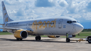 En medio del paro aeronáutico, un avión de Flybondi chocó un pájaro y tuvo que abortar el despegue