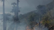 Imagen de Incendios causados por la caída de rayos en el parque Lanín: extinguieron dos focos y siguen los trabajos