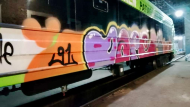 Las personas rompieron el portón de ingreso y pintaron el cochemotor.