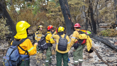 El incendio sigue en las mimas condiciones que el viernes. 
