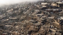 Imagen de Los cinco factores que llevaron a los incendios forestales en Chile