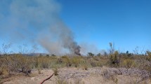Imagen de Combaten incendio en Vaca Muerta, cerca de Añelo: «Aún no sabemos cuantas hectáreas son»