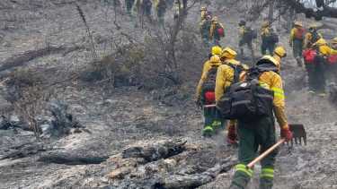 Tras once días, el incendio en Parque Nacional Los Alerces "continúa activo en todo su perímetro". Foto: Parque Nacional Los Alerces. 
