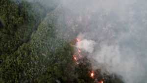 Río Negro planea un mejor control de incendios, caza furtiva y pesca ilegal con un Código