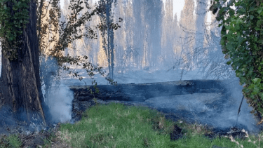 Hospitalizaron a dos bomberos que combatían un incendio en Centenario, por la ola de calor