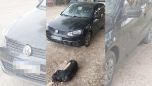 Los persiguieron por la Ruta 23 y los detuvieron en Las Grutas tras llevarse las pertenencias de una pareja