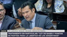 Imagen de Ley Ómnibus : Llancafilo pidió que se asegure «la continuidad de la Zona Fría en la patagonia»