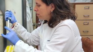 La científica que estudia efectos en la acción hormonal