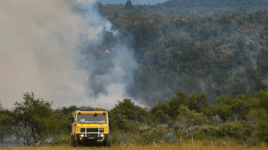 Equipos de emergencia trabajan arduamente para contener el incendio en el Parque Nacional Los Alerces. Foto Archivo.