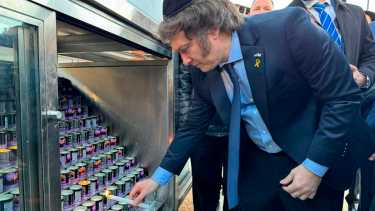 El presidente Javier Milei desarrolla su primera gira internacional, que comenzó con una visita a Israel. 