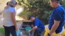 Imagen de Dengue: sin la confirmación del caso de Roca, se demora la prevención en Río Negro