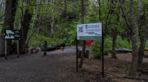 Imagen de Video | Dos turistas franceses acamparon en el parque municipal Llao Llao y ocasionaron un incendio