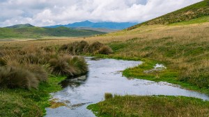 En las áreas naturales protegidas de Ecuador, la única amenaza son las personas