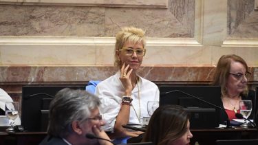 Rechazaron el DNU de Milei en el Senado: cómo votaron los legisladores de Neuquén y Río Negro