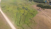 Imagen de Así trabajan los ganaderos de Neuquén para recuperar los campos arrasados por el sobrepastoreo