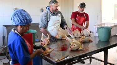 El Gobierno eliminó el Instituto de Agricultura Familiar, Campesina e Indígena. 900 técnicos distribuidos en todo el país perdieron trabajos.  Gustavo Foricher veterinario de la de la Planta de Faena de Aves en China Muerta es uno de ellos. Foto: Florencia Salto. 