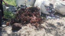 Imagen de Robo de cables: decomisaron una carga millonaria y desarticularon una banda dedicada al contrabando en Roca