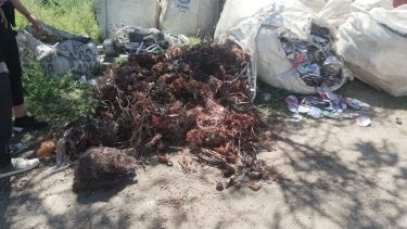 Decomisaron una carga millonaria y desarticularon una banda dedicada al contrabando en Roca