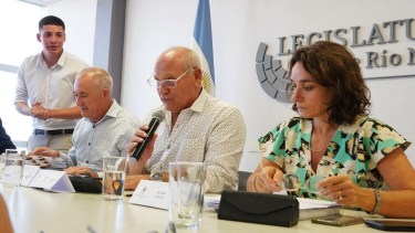 El ex ministro de Salud de Río Negro y actual legislador de JSRN, quedó al frente de la comisión de Asuntos Sociales. 