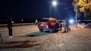 El can «Col» detectó en Viedma estupefacientes en un vehículo y fue imputada una mujer