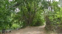 Imagen de Un paseo único en Neuquén, ideal para hacer una tarde con sol